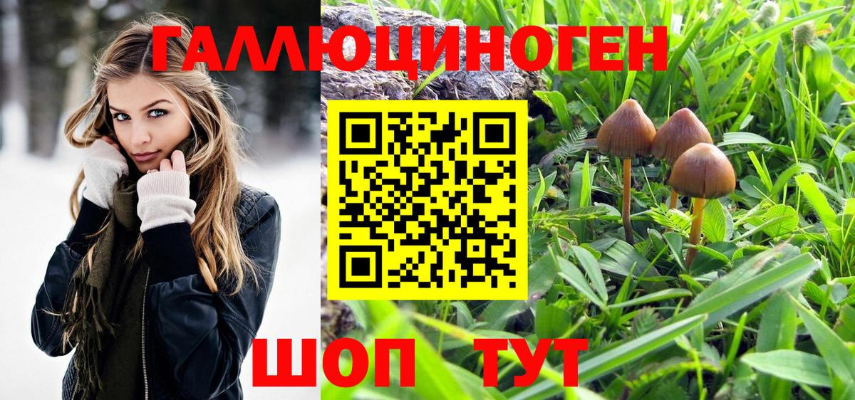 Галлюциногенные грибы мицелий  Псилоцибиновые грибы мухоморы  Вход с VPN  Губкинский 